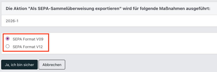 Screenshot aus der Software: Fenster für das SEPA-Format.