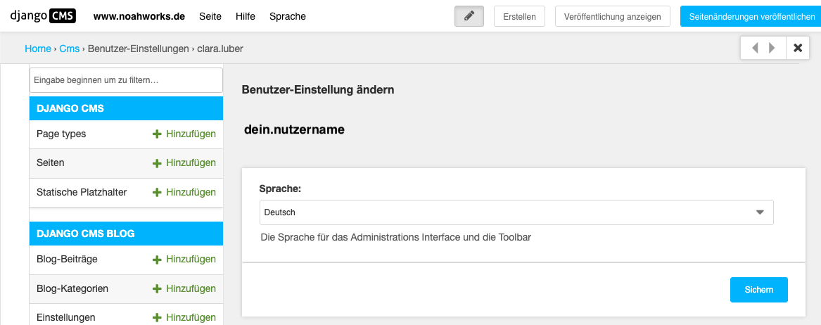 Screenshot der CMS-Benutzereinstellungen.
