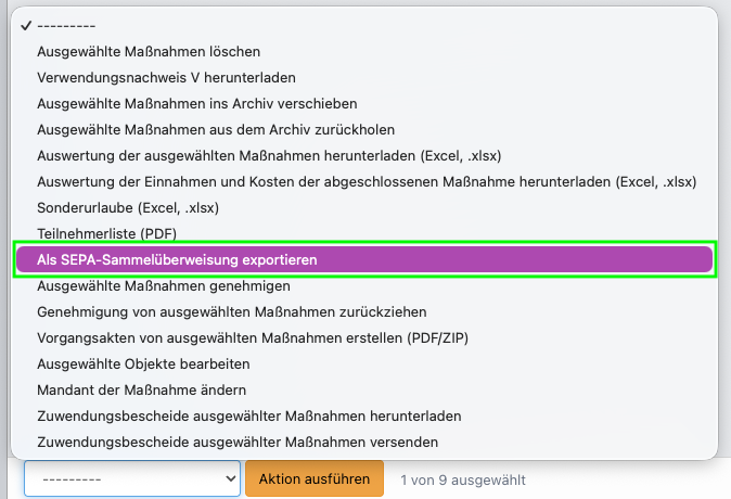 Screenshot aus der Software: geöffnete Aktionen in der Maßnahmenübersicht.