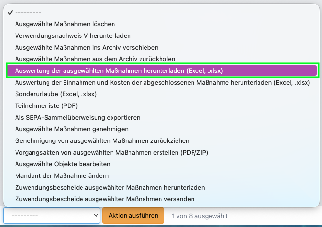 Screenshot aus der Software: geöffnete Aktionen für Fördermaßnahmen.