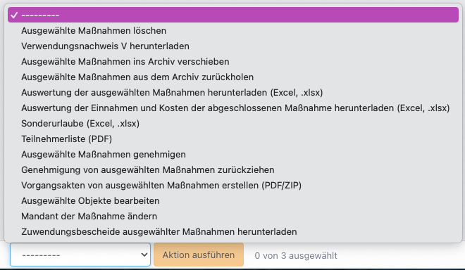 Screenshot über die Massenaktionen für deine Fördermaßnahmen.