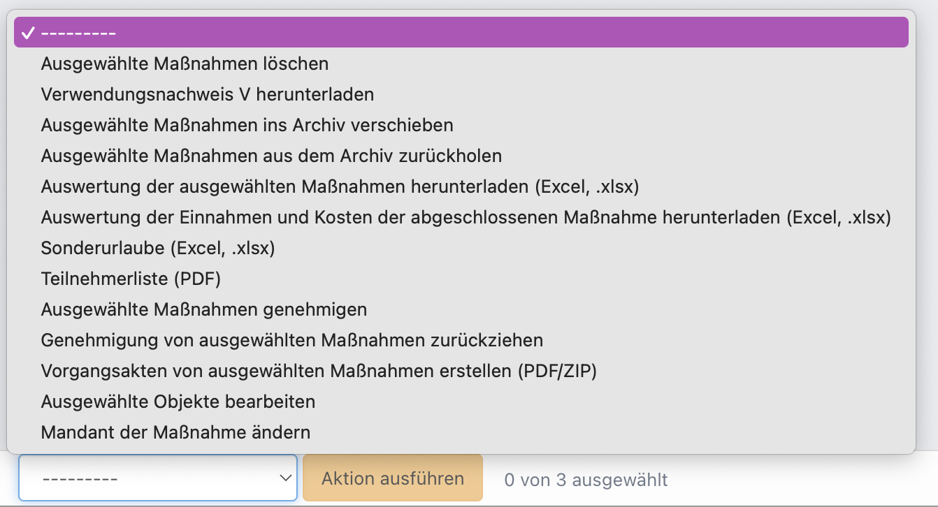 Screenshot über die Massenaktionen für deine Fördermaßnahmen.