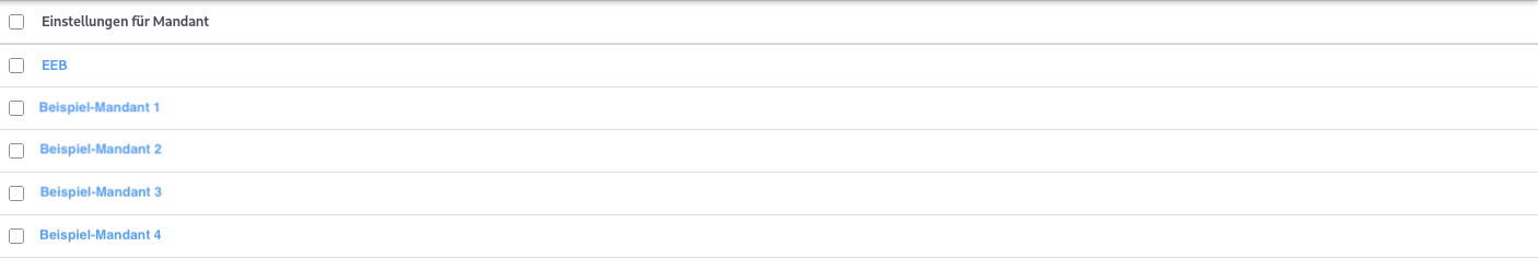 Screenshot aus der Software: geöffnete Mandanten-Übersicht.